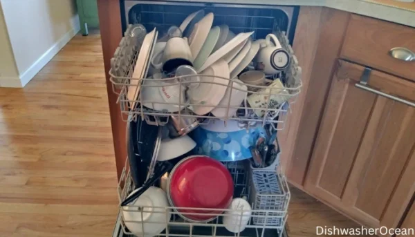 An example of a overloaded dishwasher.